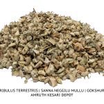 Suggest Product Thumbnail